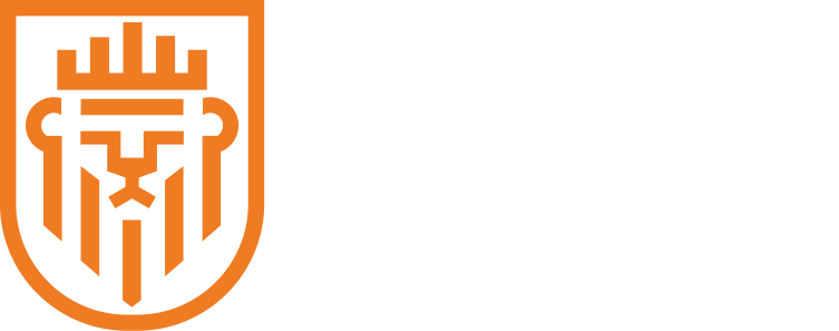 Orange Lions Mechanical logo